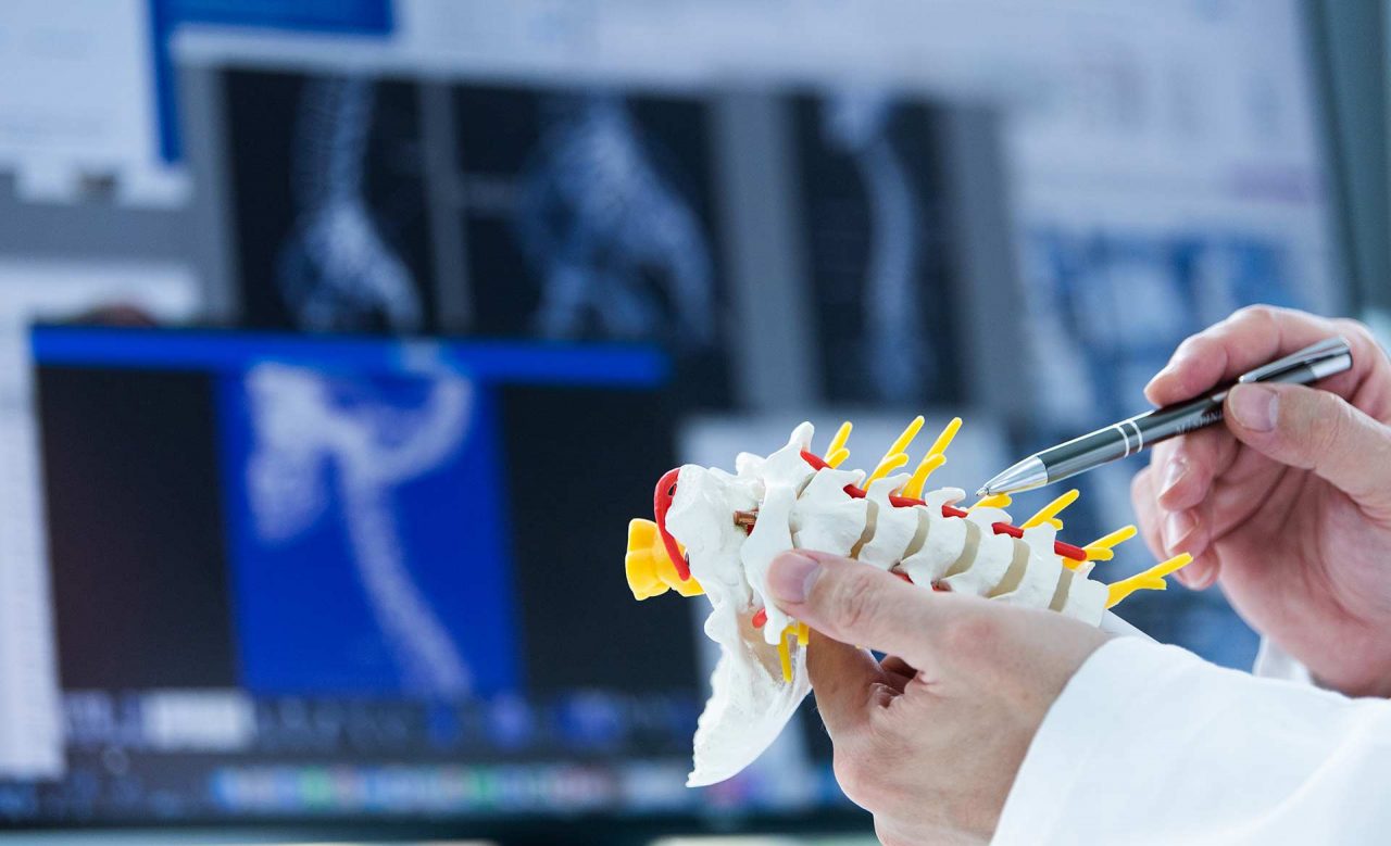 Medizinische Aufnahmen - Photo Studio Büttner