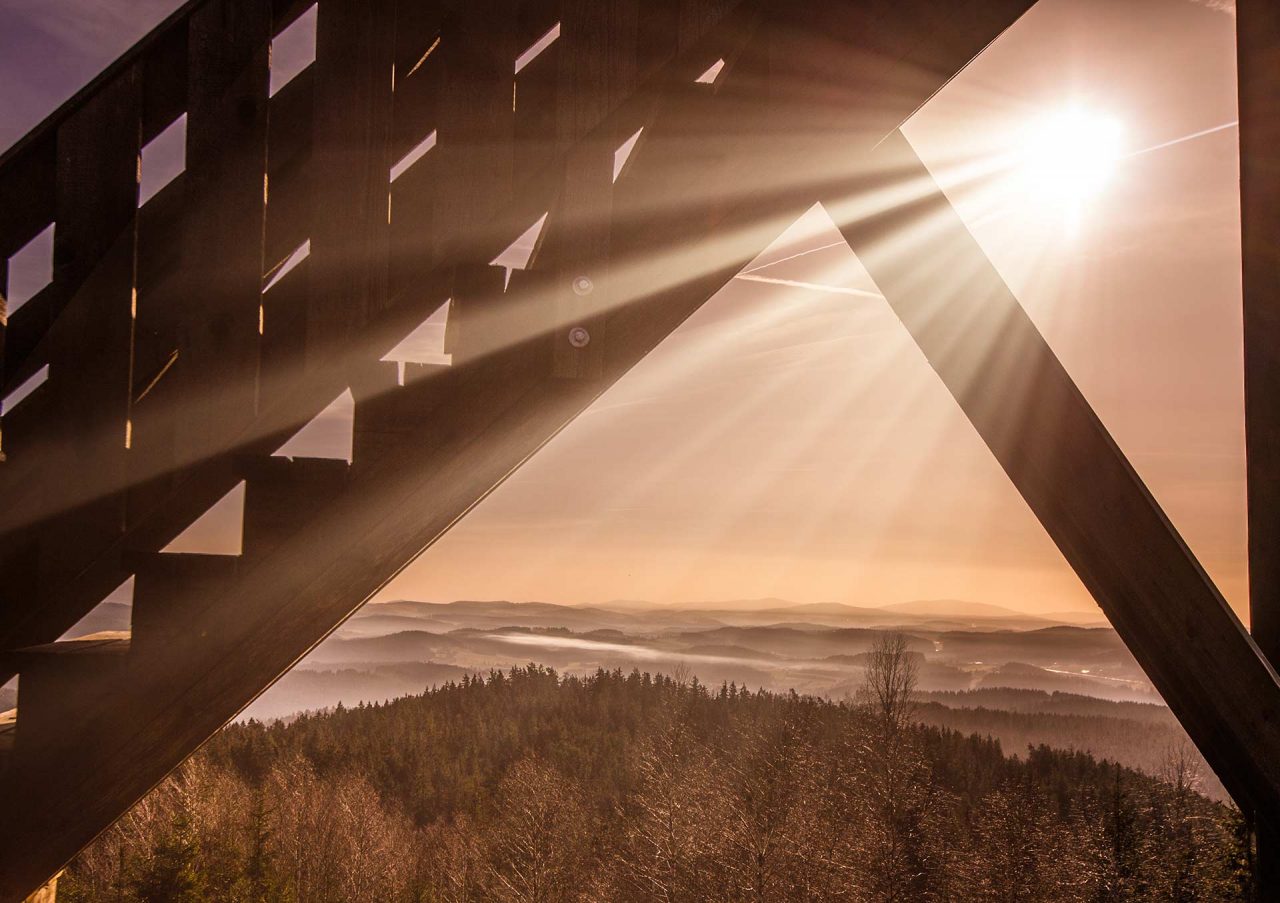 Naturfotografie Fotograf Tobias Büttner