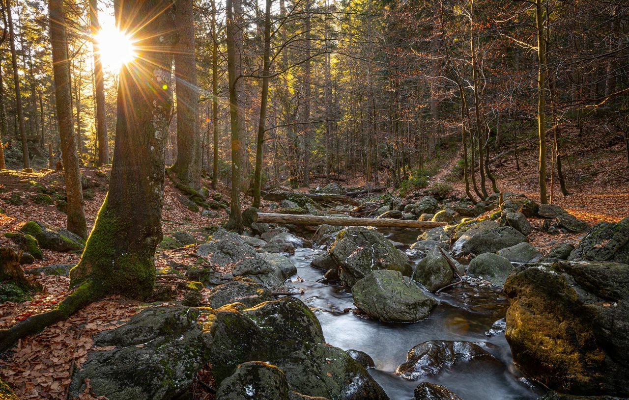 Naturfotografie Fotograf Tobias Büttner Herbstlandschaft Höllbachtal