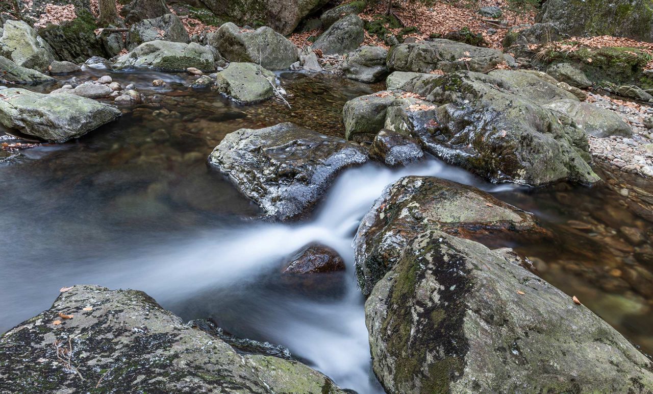 Naturfotografie Fotograf Tobias Büttner Herbstlandschaft Höllbachtal