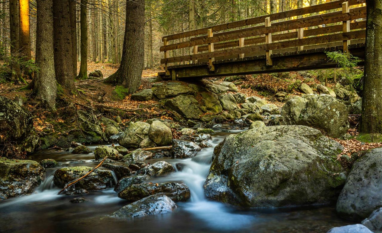 Naturfotografie Fotograf Tobias Büttner Herbstlandschaft Höllbachtal