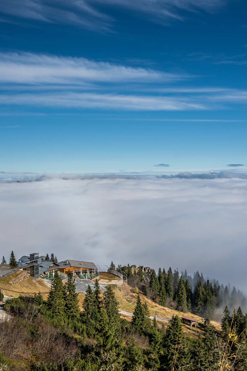 Naturfotografie Fotograf Tobias Büttner Bayerischer Wald