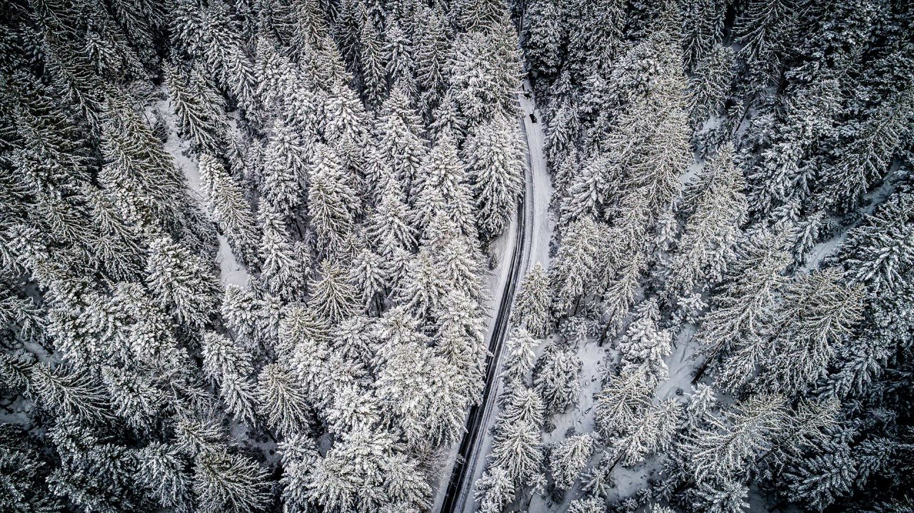 Naturfotografie Fotograf Tobias Büttner Bayerischer Wald